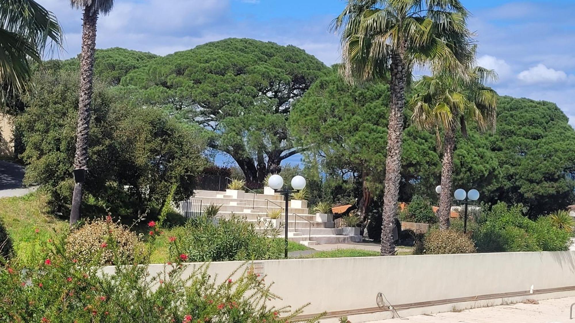 La Joya De Villepey Saint Aygulf Exteriör bild
