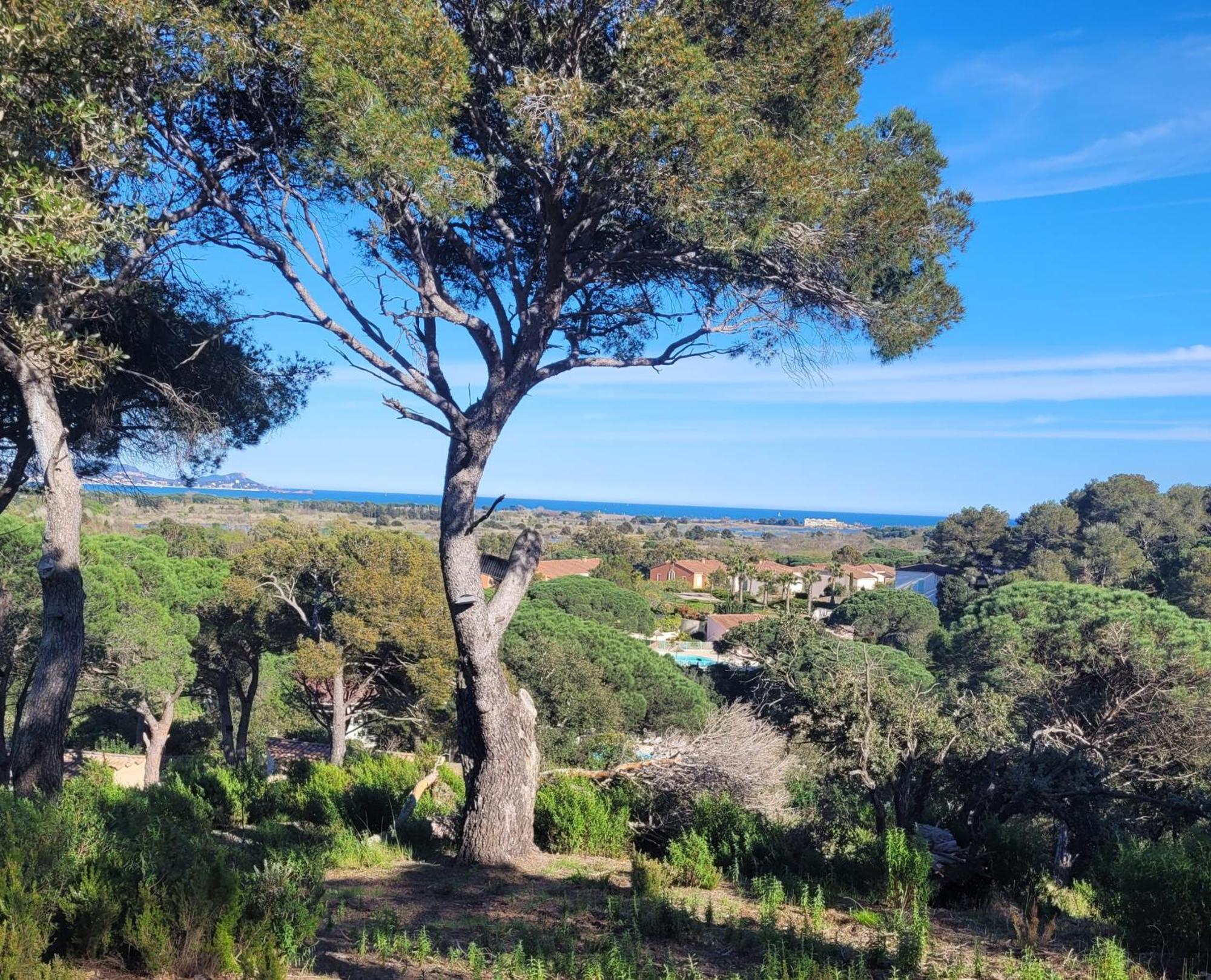 La Joya De Villepey Saint Aygulf Exteriör bild